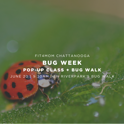 6.20 BUG WEEK.png