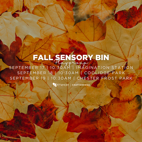 09.17.2025 FALL SESNORY BIN (1).png