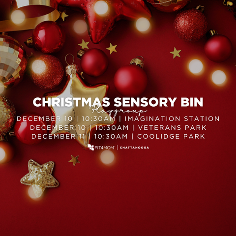 12.10.2025 Christmas Sesnory Bin.png