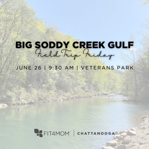 6_26 Big Soddy Creek Gulf.png