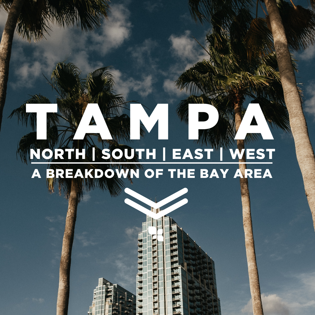 Tampa Blog.png