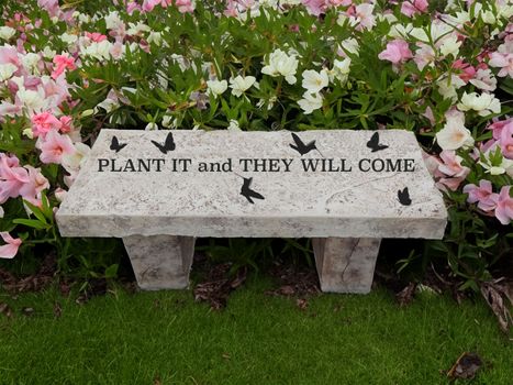 Bench - Plant It and They Will Come (Florida).jpg