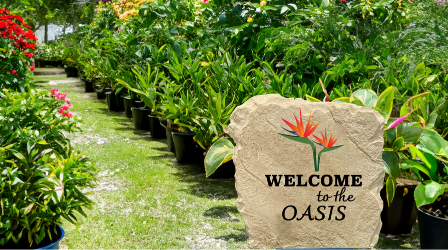 Welcome to the OASIS w Bird of Paradise (Florida) - 1.png