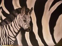 Zebra.jpg