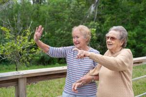 Starling at San Jose