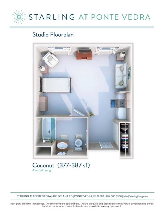 Coconut - Studio - Starting at $4,650