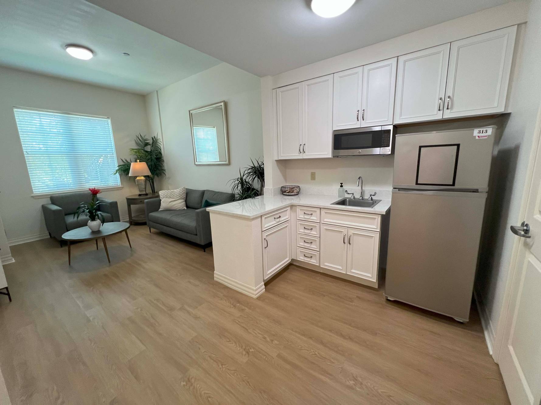 model kitchen-living rmPV.jpg