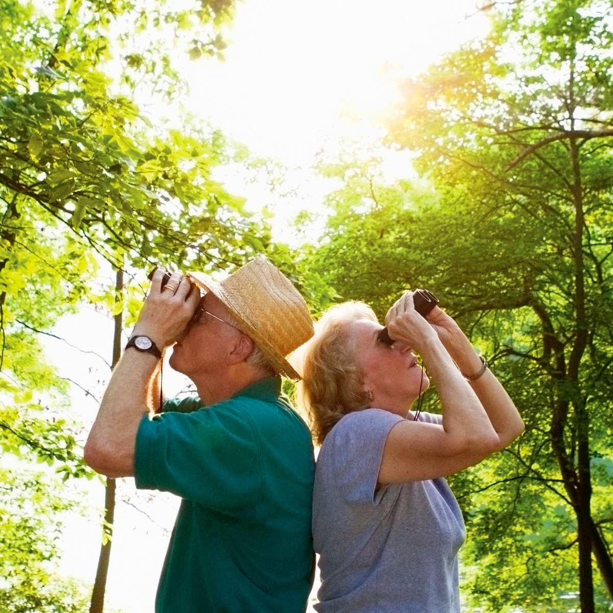 Bird Watching Stock.png