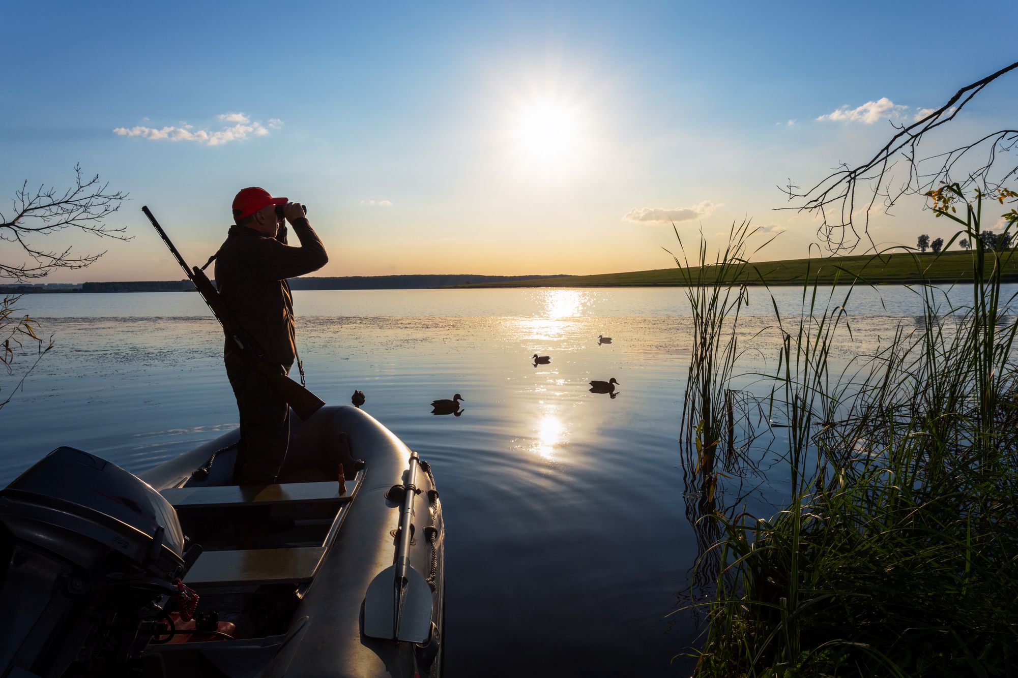 iStock-2165379494.jpg