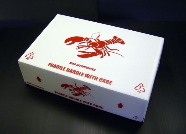 Leakproof  Corrugated  Plastic Crop Box for Lobster