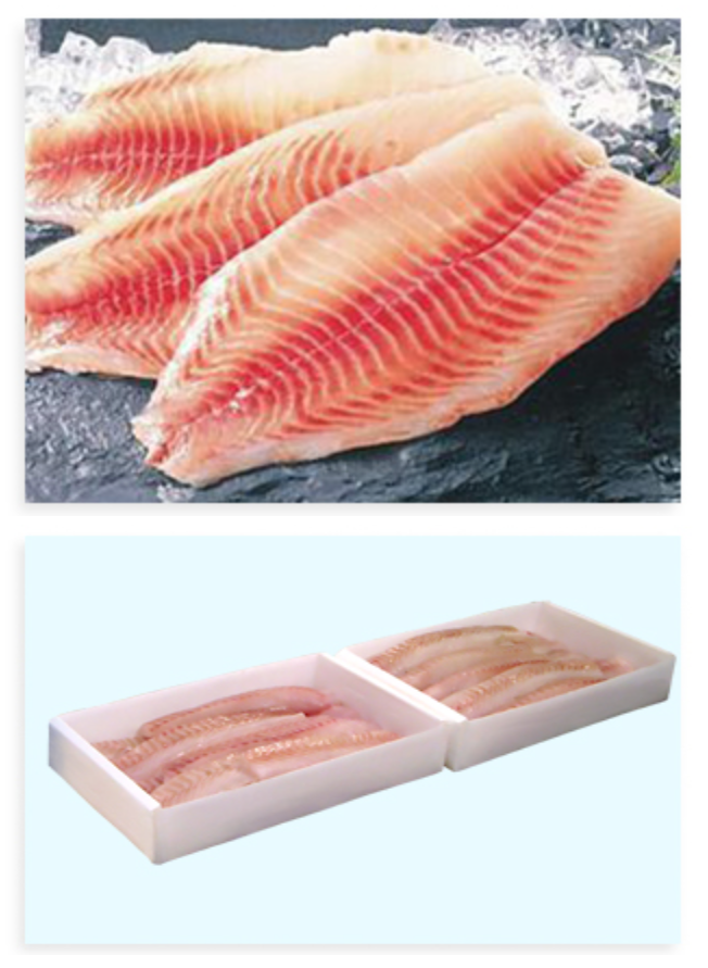 buy fish boxes July Box | 8 Fresh Portions sealed portions from Bristol Bay MYSTERY Fish Boxes! – Rob's