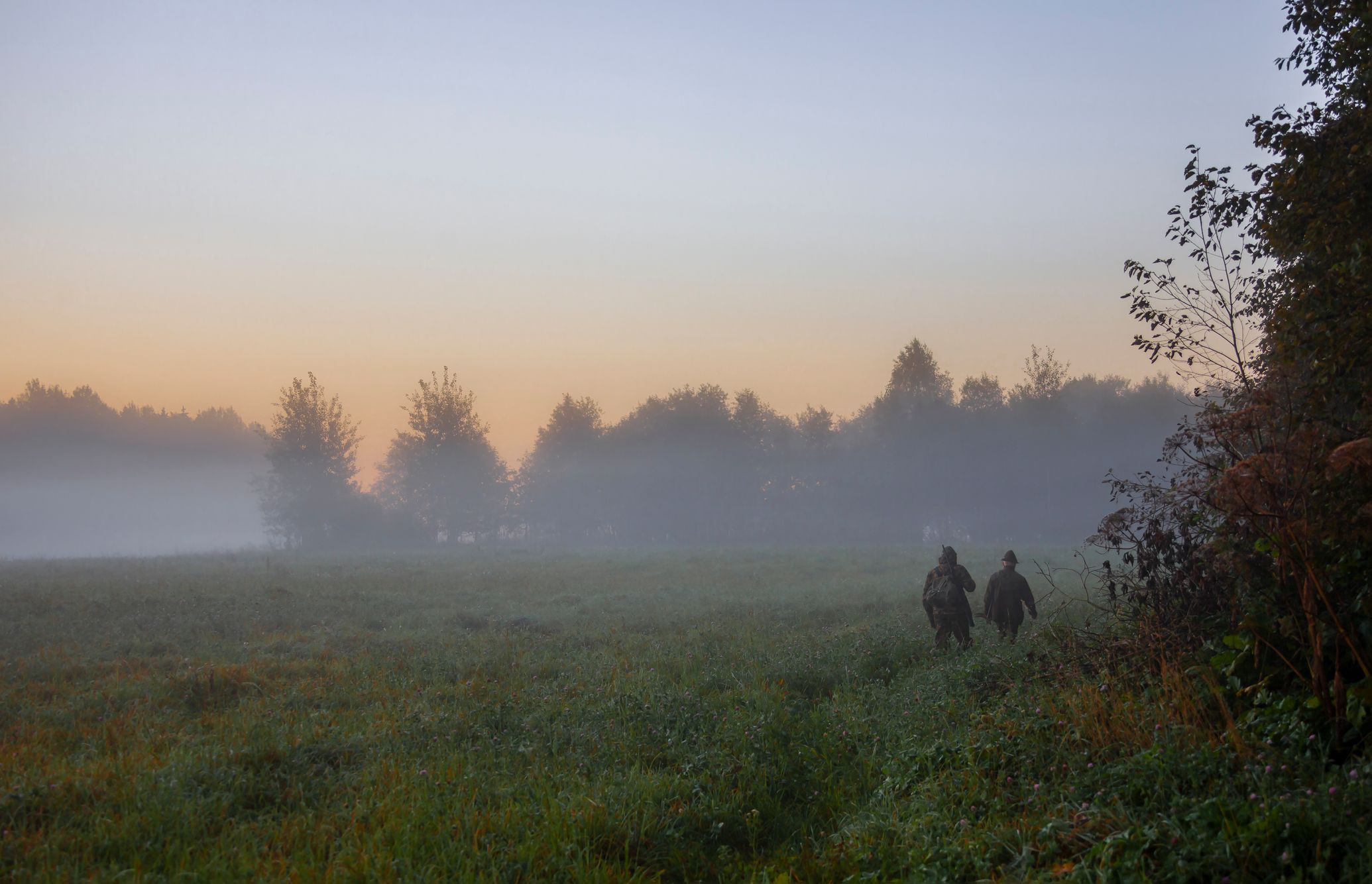 iStock-1498772699.jpg