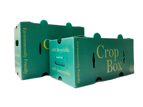3/4 Bushel Corrugated  Plastic Crop Boxes