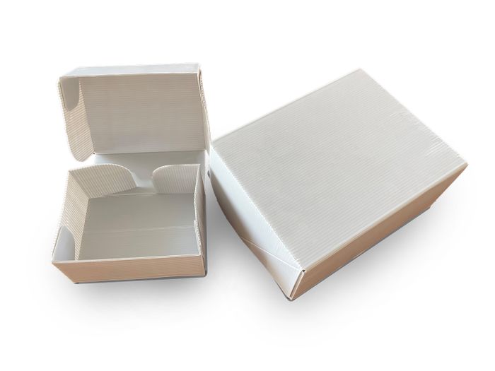 White Reusable Shipping Boxes