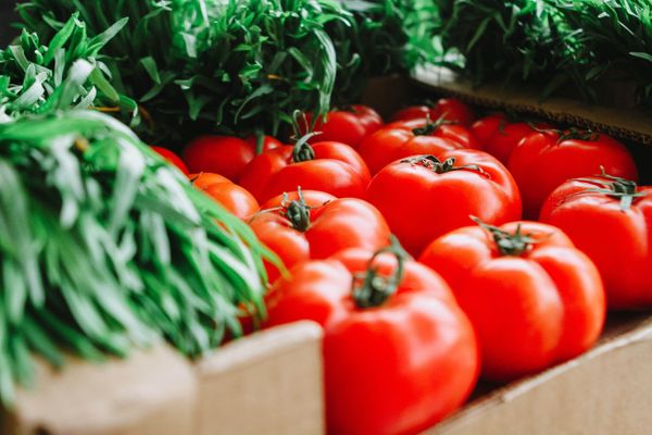 red-tomatoes-1367243.jpg