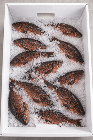 Fish 2 Cool Seal USA.png