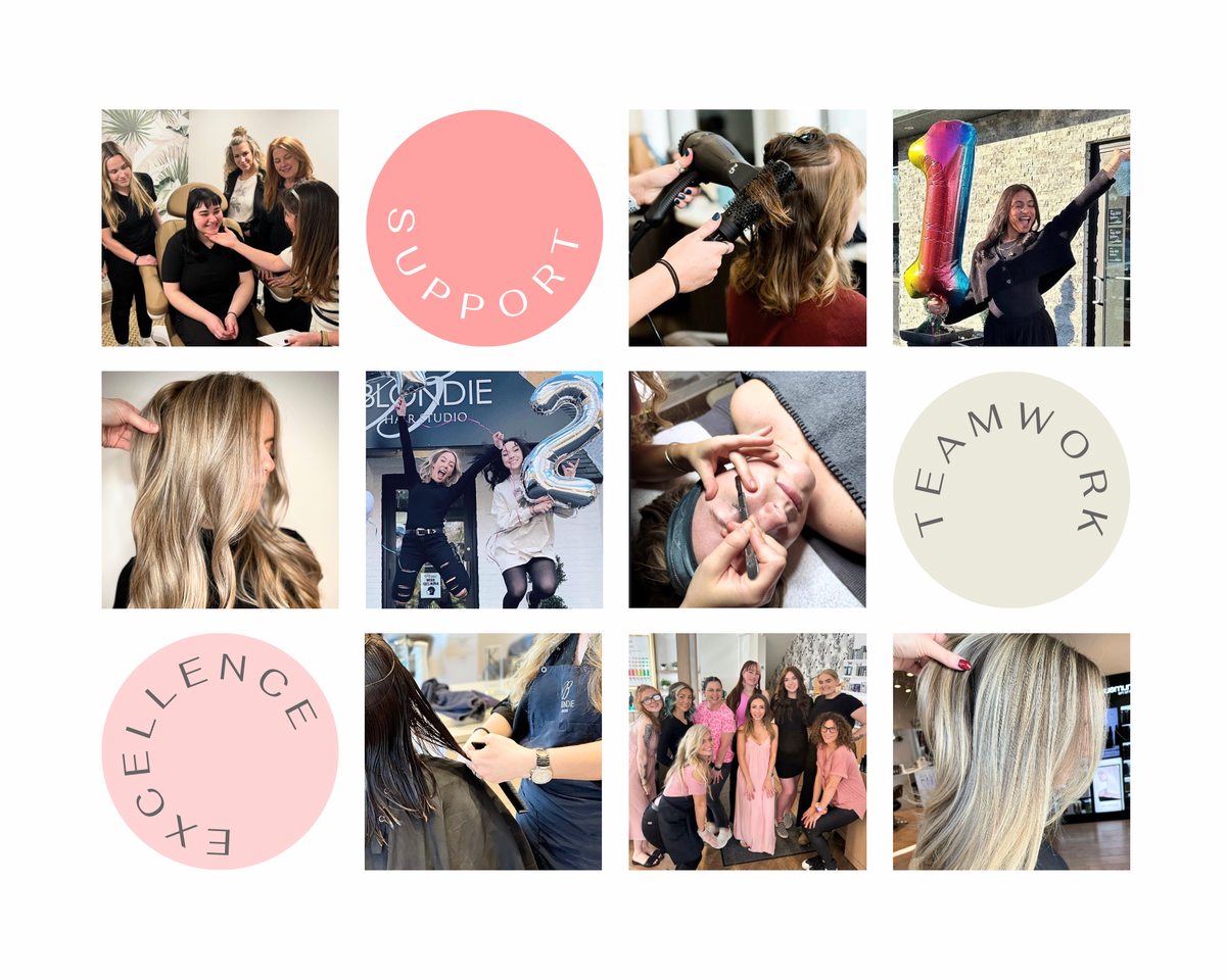 Blondie Careers Page 2.PNG