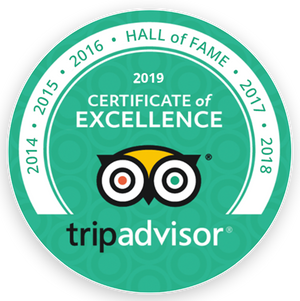 2019-certificate-of-excellence.png