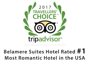 2017 Travellers Choice Tripadvisor USA