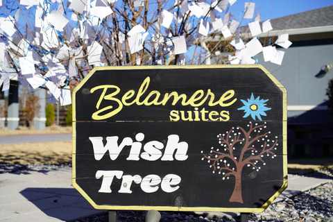 Make a wish and tie it to our tree and we'll donate to a local organization because of YOU!