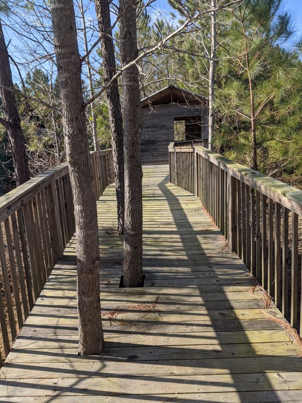 Universally accessible treehouse in Parsley Commons treehouse 2.jpg