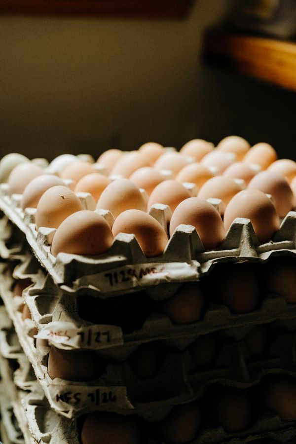 Dining - YouthFolkCamp.2025-324.jpg