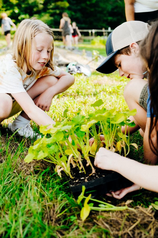 Classes - YouthFolkCamp.2025-161.jpg