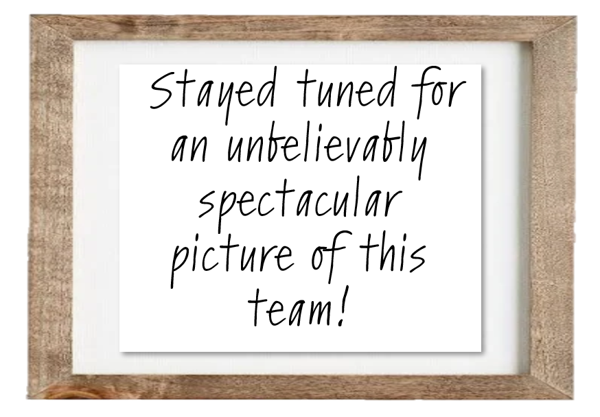 no team pic.png
