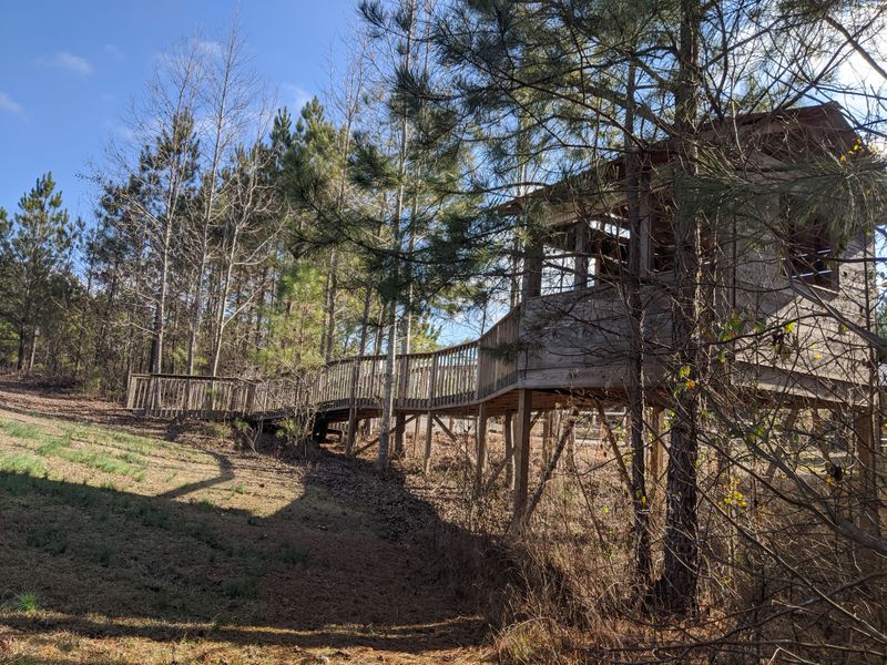 Universally accessible treehouse in Parsley Commons treehouse 1.jpg