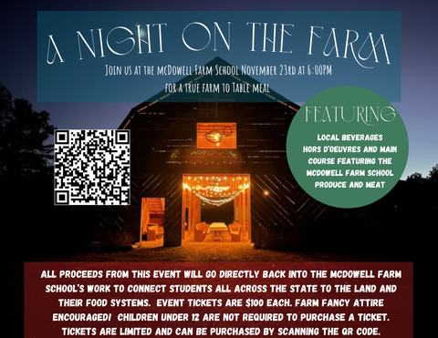 A night on the farm Flyer.png