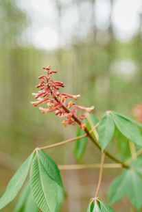 2025-04-10 Alabama Folk School 0053.jpg