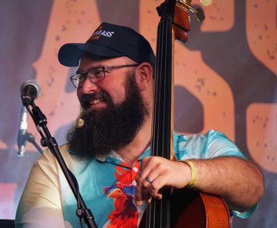 bert beard bird - King Springs Road.jpeg