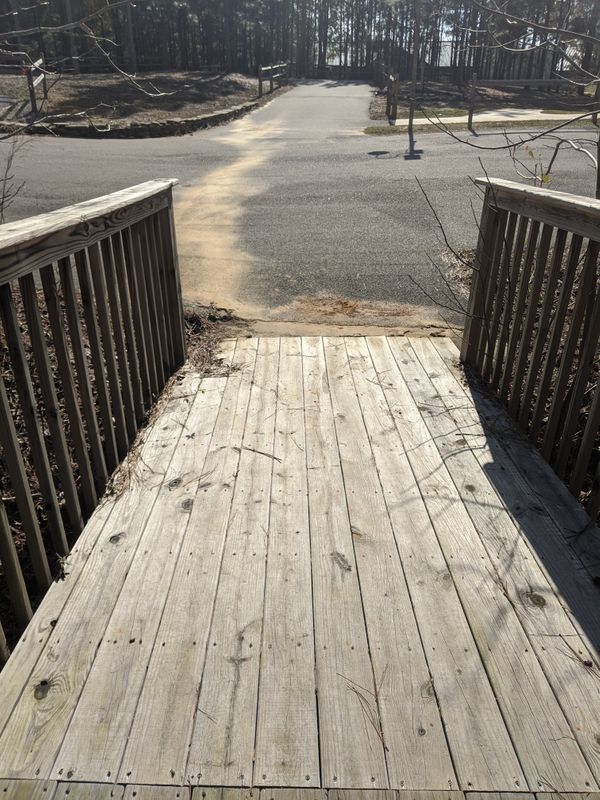 Universally accessible treehouse in Parsley Commons treehouse 3.jpg