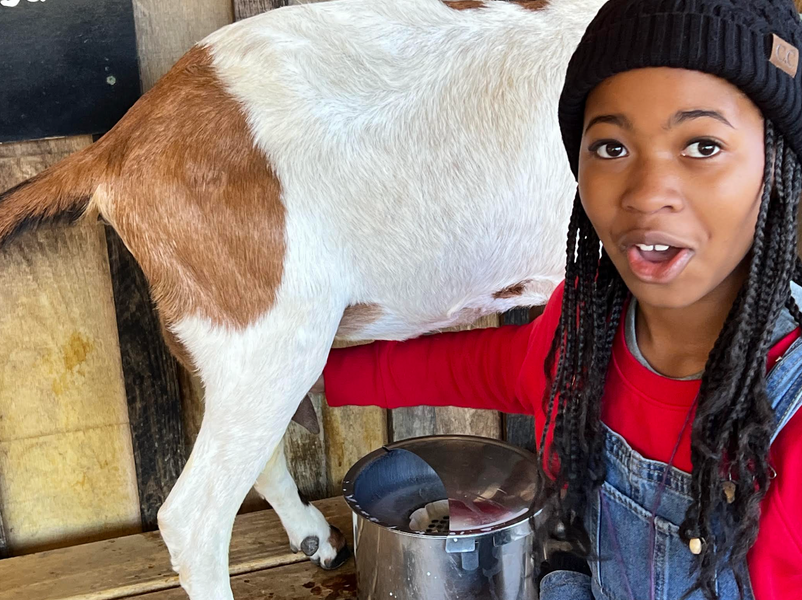 Screen Shot 2026-01-20 at 3.25.24 PM.png