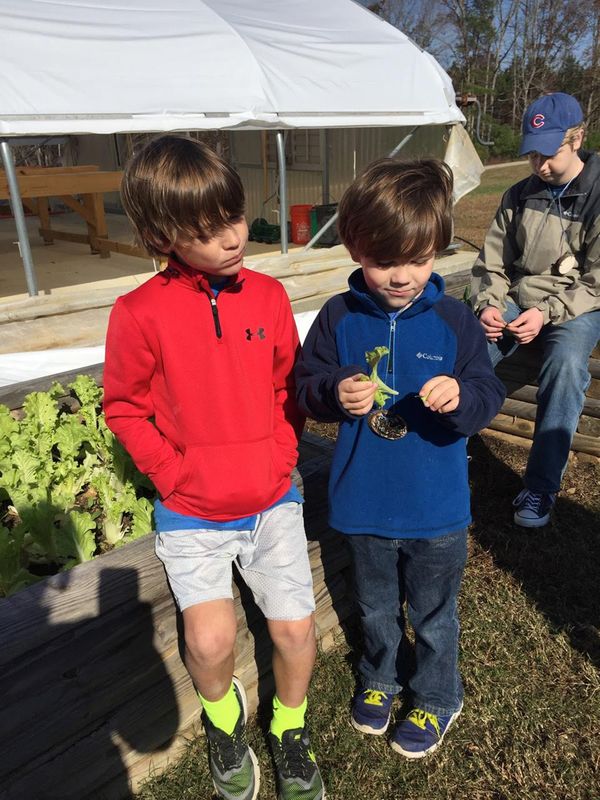 still learning on the farm.jpg