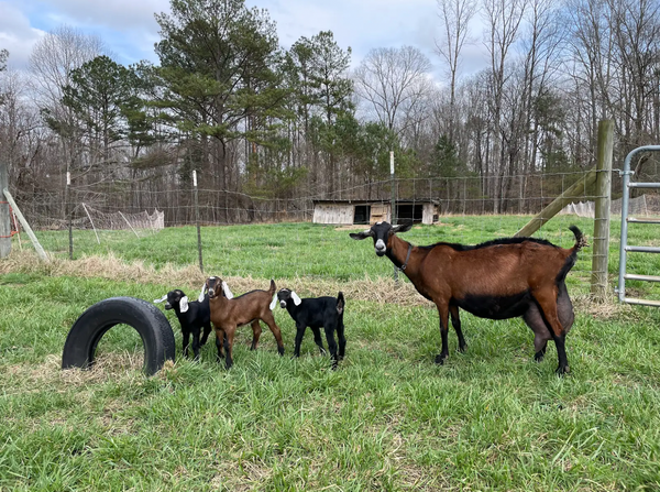 Screen Shot 2026-01-20 at 2.59.29 PM.png