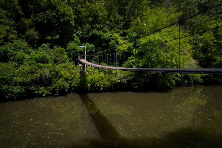 61-DJI_0173.jpg