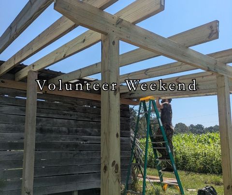 Vol Weekend - Upcoming Events.jpg
