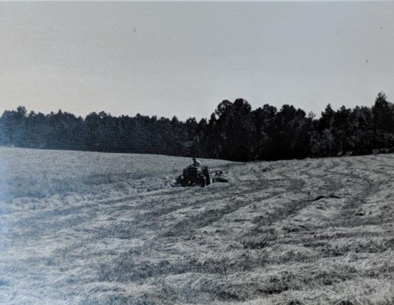 McDowell farm land - early days history 8.jpg