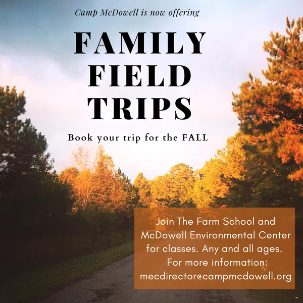 Family Field Trips Promo.png