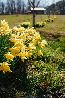 2025-03-01 Alabama Folk School 0174.jpg