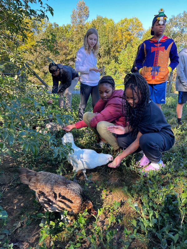 _Field Trip Overview.jpg