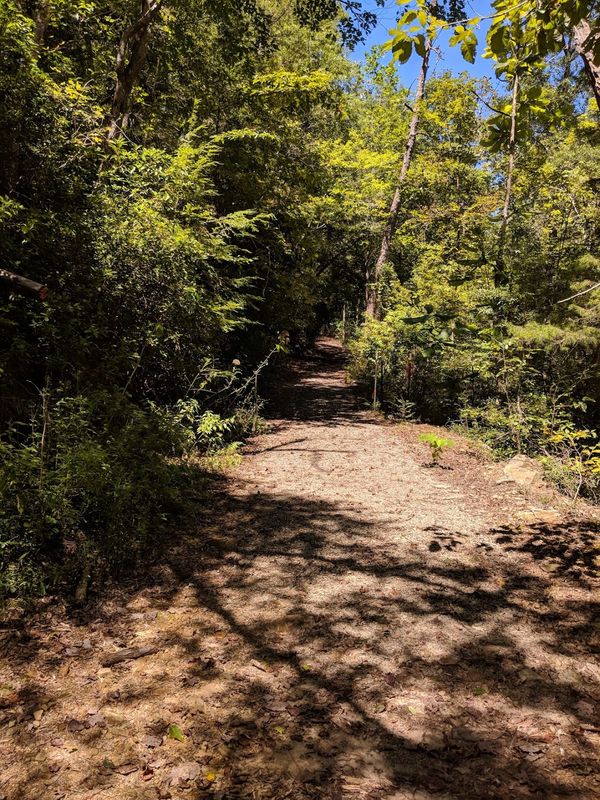 hike along creek.jpg