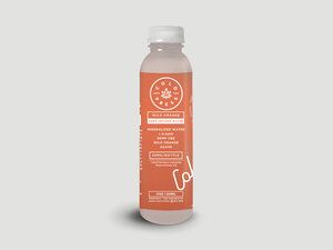 Cold off the Press CBD Waters