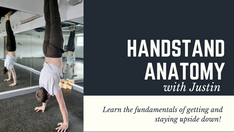 handstand anatomy