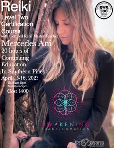 20 Hours | Reiki Level 2