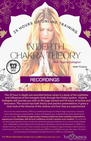 RECORDINGS  of 25 Hours |  Advanced Chakra Theory Module 
