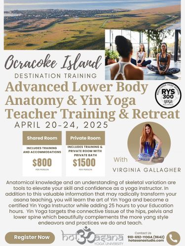 25 Hours |  Advanced Lower Body Anatomy & Yin Yoga Certification Retreat in Ocracoke