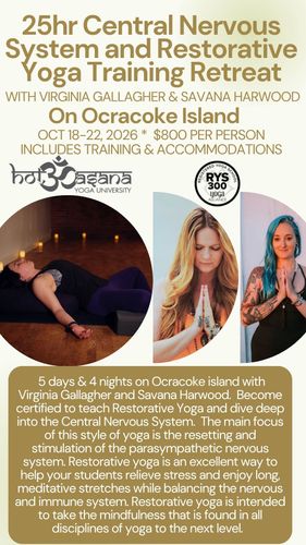 25 Hours |  Central Nervous System & Restorative Yoga Teacher Training Retreat on Ocracoke Island
