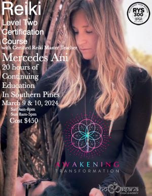 20 Hours | Reiki Level 2 | Southern Pines